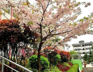赫章县六曲河镇乌蒙山学校