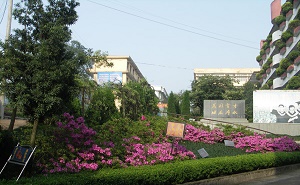 洞口县洞口镇城关中学