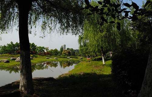 德昌县广播电视大学「电大」