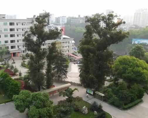 阜新市第二十中学