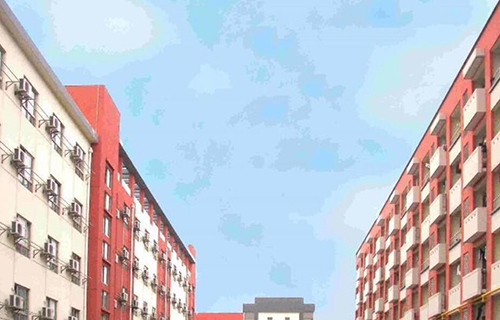 上海震旦职业学院继续教