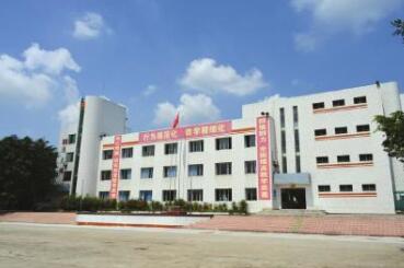 大邑县新场镇学校