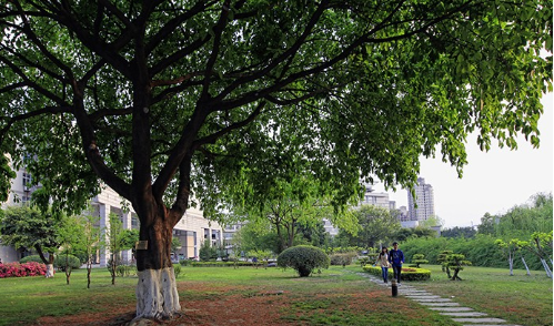西南石油大学自考