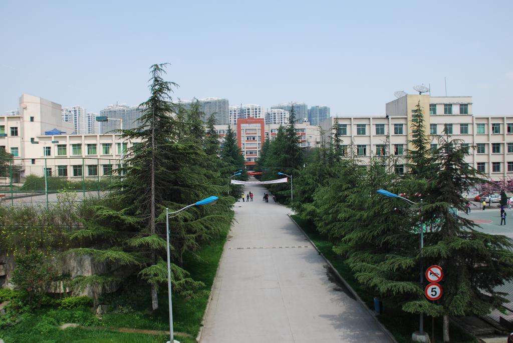 翠屏区广播电视大学  「电大」