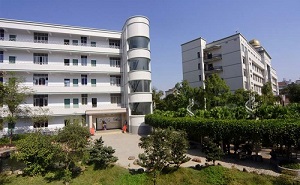 上海市卢湾区向锋中学