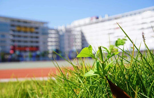 重庆市长寿区但渡镇初级中学校