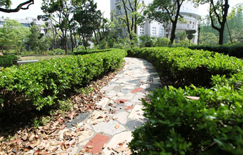 西秀区安大学校