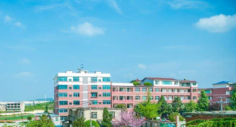 毕节广播电视大学「电大」