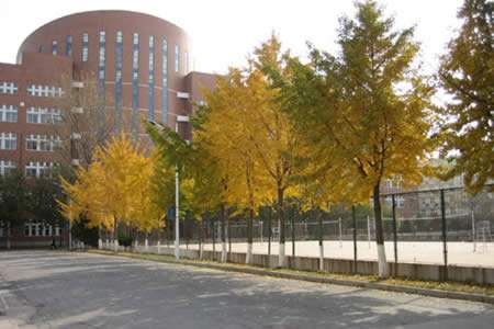 成都市人民北路中学金华街分部