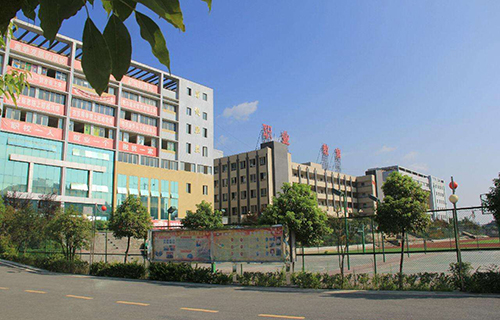 道孚县广播电视大学「电大」