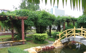 广州市第八十七中学