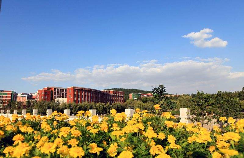 大安区广播电视大学「电大」
