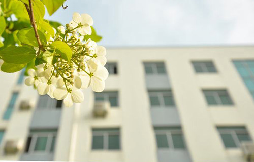 垫江县私立增辉中学校