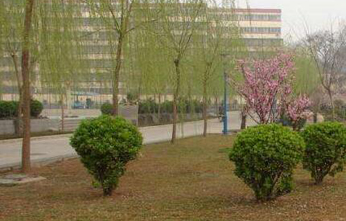 重庆二十九中实验学校