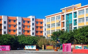 北京市中关村外国语学校
